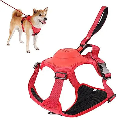 Retractable Dog Harness & Leash Set