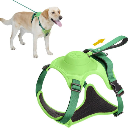 Retractable Dog Harness & Leash Set