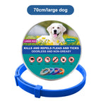 1x Large Dog 70cm Blue