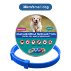 1x Small Dog 38cm Blue