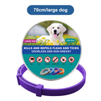 1x Large Dog 70cm Purple