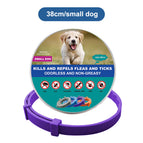 1x Small Dog 38cm Purple