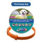 1x Large Dog 70cm Orange
