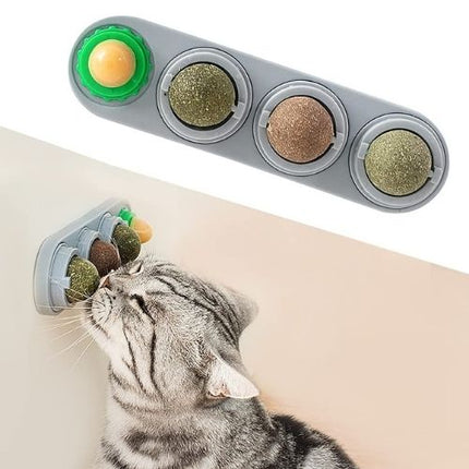 Catnip Wall Ball Toy