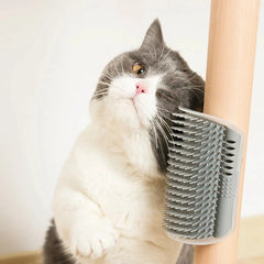 Collection image for: Self Groomers