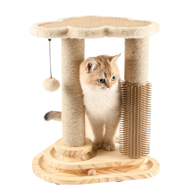 Interactive Cat Scratching Post