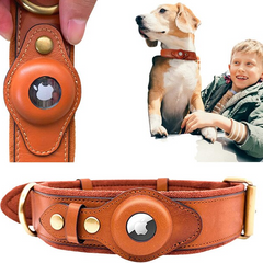 Collection image for: Harnesses
