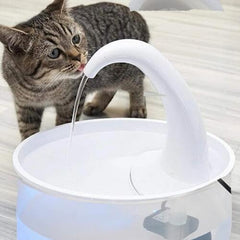 Collection image for: Cat Feeding