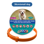 1x Small Dog 38cm Orange