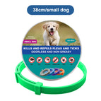 1x Small Dog 38cm Green
