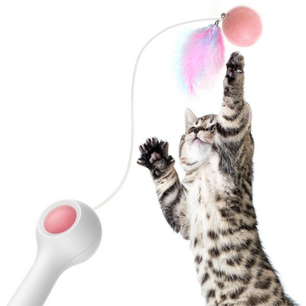 Interactive Cat Hunting Toy
