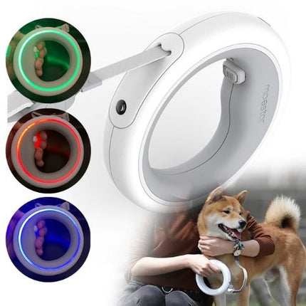 LED Hands-Free Dog Leash