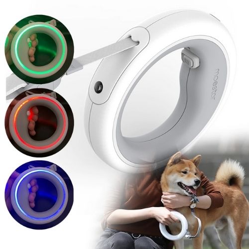 LED Hands-Free Dog Leash