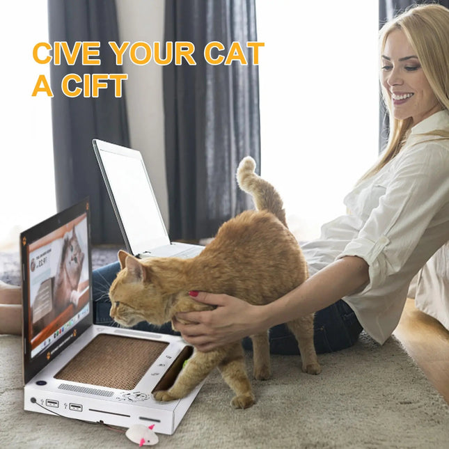 Laptop Cat Scratcher Toy