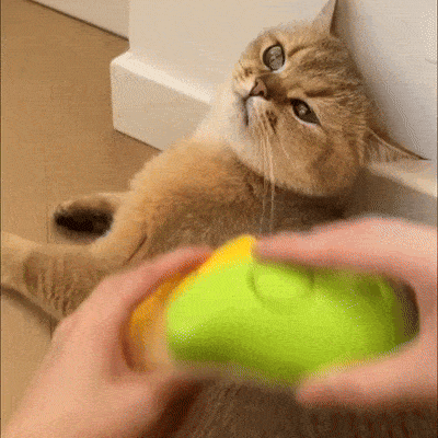 Cat Steam Grooming Brush