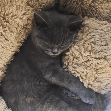 Cozy Round Pet Bed