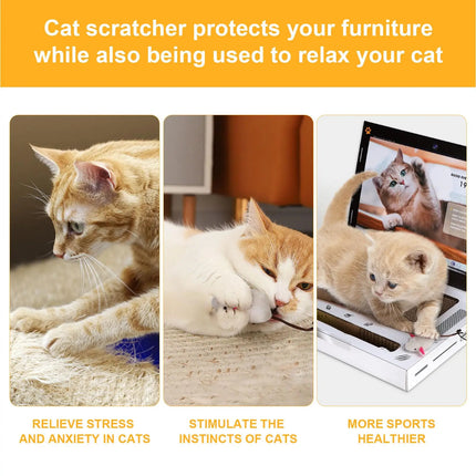 Laptop Cat Scratcher Toy