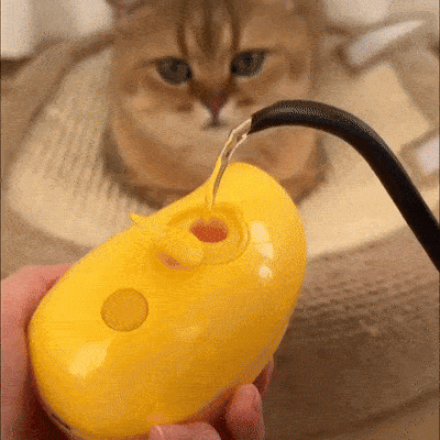 Cat Steam Grooming Brush