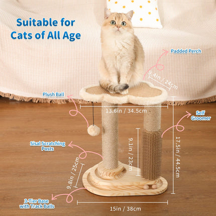 Interactive Cat Scratching Post