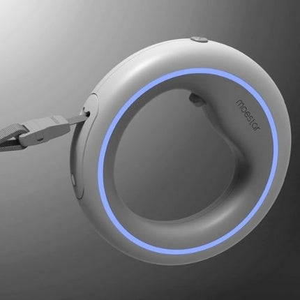 LED Hands-Free Dog Leash