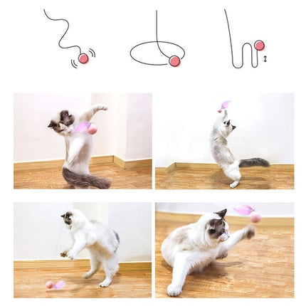 Interactive Cat Hunting Toy