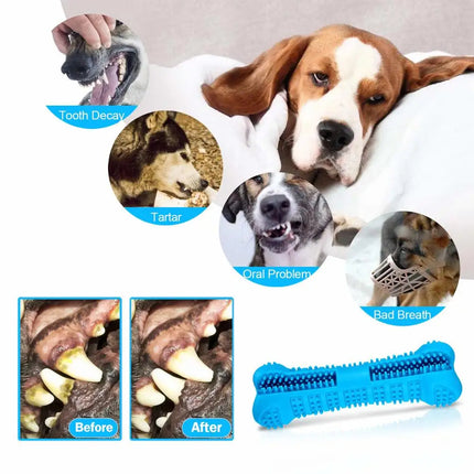 Toothbrush Dog Chew Toy