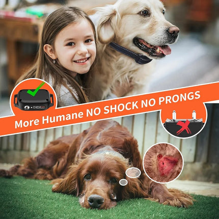 No-Shock Dog Training Collar