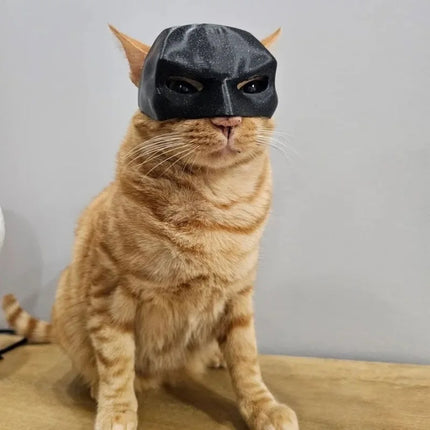 Bat Cat Mask Costume