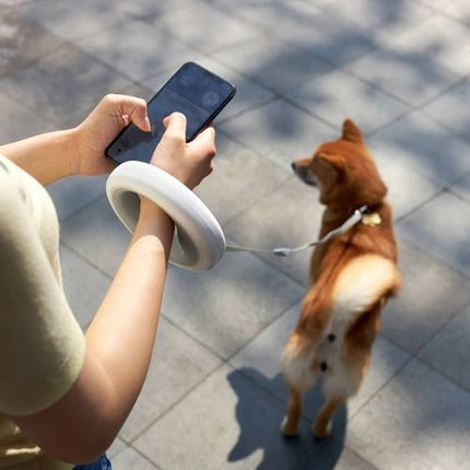 LED Hands-Free Dog Leash