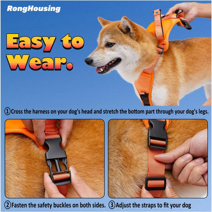 Retractable Dog Harness & Leash Set