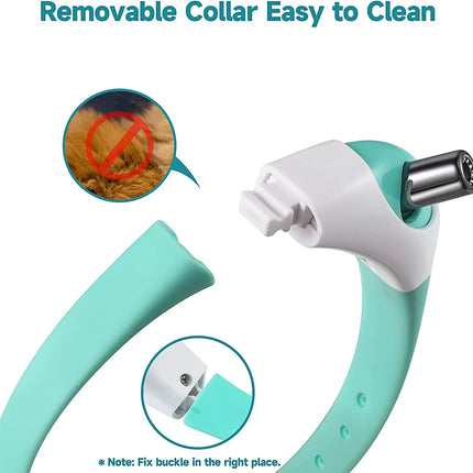 Wearable Interactive Cat Toy Collar