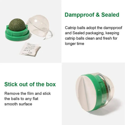 Wall-Mounted Catnip Balls