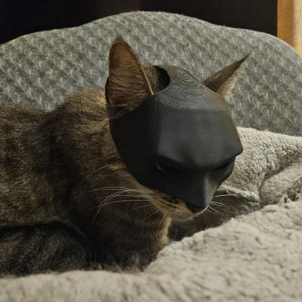 Bat Cat Mask Costume