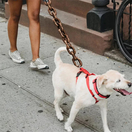 Funny Chain Dog Leash