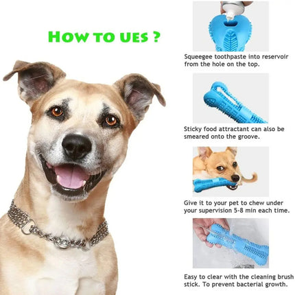Toothbrush Dog Chew Toy