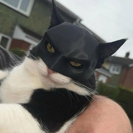 Bat Cat Mask Costume