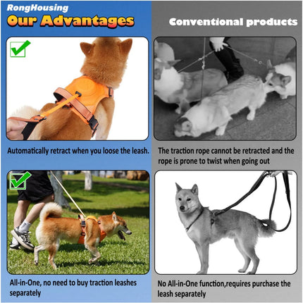 Retractable Dog Harness & Leash Set