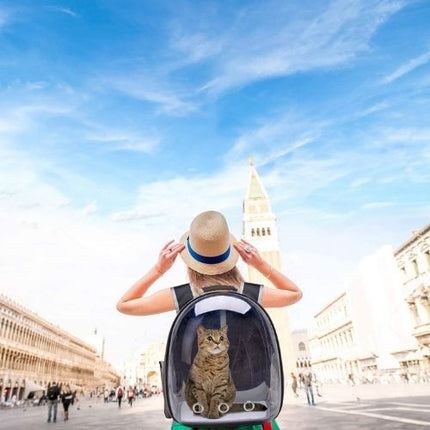 Transparent Capsule Pet Backpack