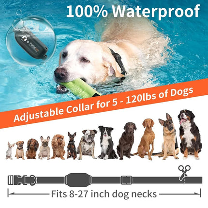 No-Shock Dog Training Collar