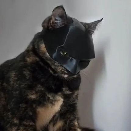 Bat Cat Mask Costume