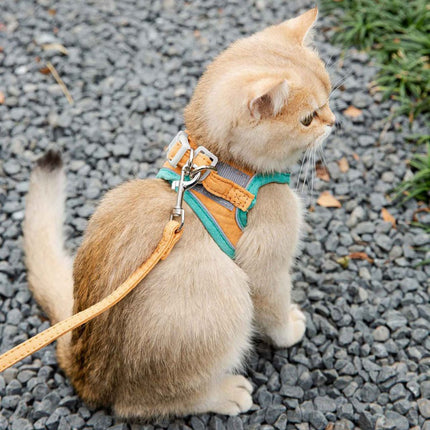 Comfortable Cat Harness
