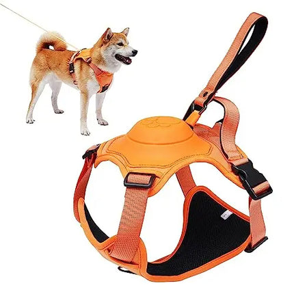 Retractable Dog Harness & Leash Set